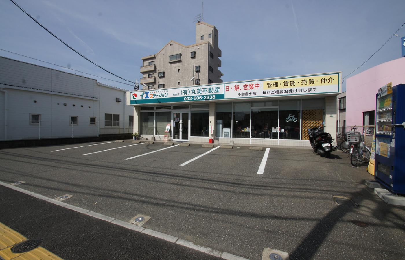 写真1