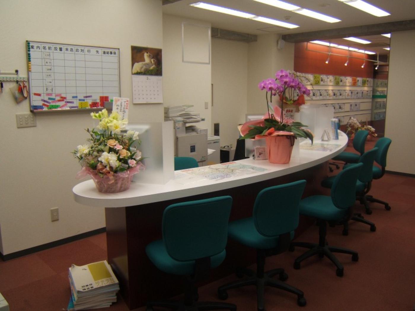 写真1